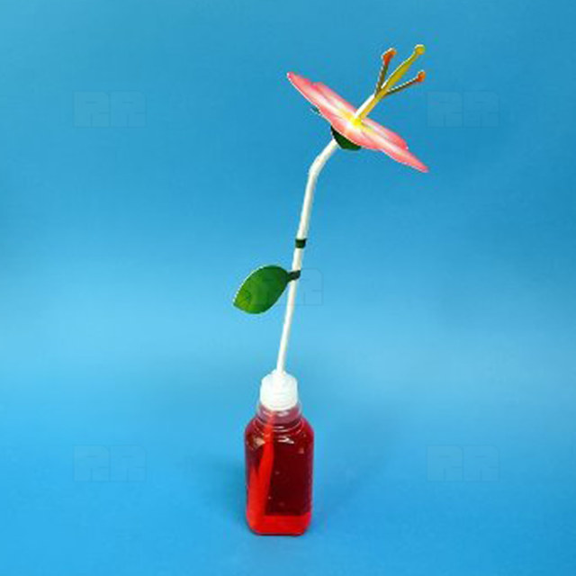 향기 나는 꽃 모형 만들기 5인